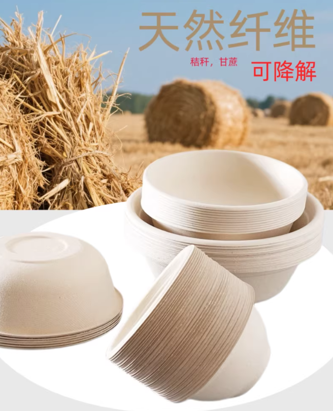 cee5c092-9a55-47d9-a8c8-bcc7c7719326